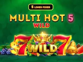 Multi Hot 5 Wild screenshot